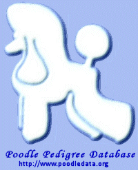 image(27)