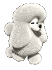 image(73)